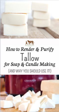 how to render and purify tallow for soap & candle making and why you should use it