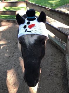 a horse wearing a crocheted hat in the dirt