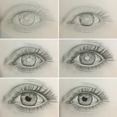 four different views of an eye, each with the same amount of iris's eyes