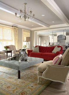 a dog sitting on top of a ottoman in a living room