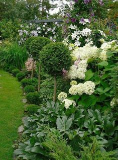 the garden is full of flowers and trees