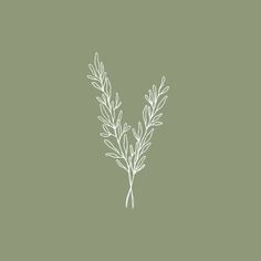 a drawing of a sprig of rosemary on a green background with the letter v