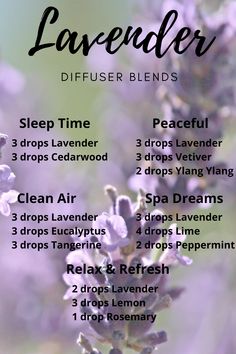 Lavender Diffuser Blends, Lavender Diffuser, Essential Oils Focus, Essential Oil Perfumes Recipes, Essential Oil Combinations, Doterra Essential Oils Recipes