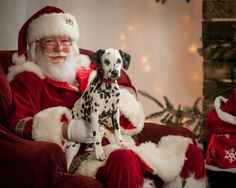 a man dressed as santa claus holding a dalmatian dog in his lap while sitting on a chair