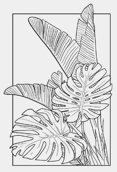 a black and white drawing of tropical plants in a square frame on a white background