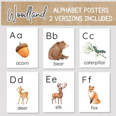 four different types of animals are shown with the words woodland and 2 versions included in each