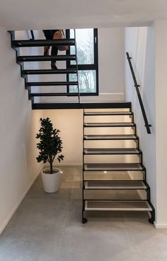 there is a potted plant on the floor next to the stairs in this house