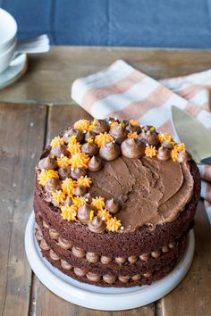 a chocolate cake sitting on top of a white plate