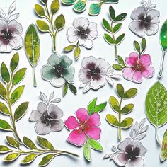 some flowers and green leaves on a white surface