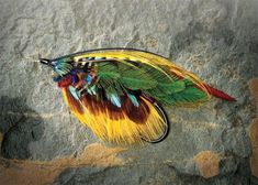 a colorful feathered insect resting on a rock