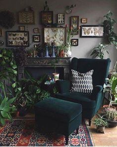 a living room filled with lots of green plants and pictures on the wall above it