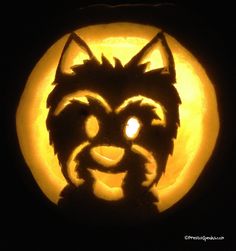 a dog's face carved into a pumpkin with the moon in the back ground