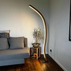 a living room with a couch and a plant on the floor in front of it