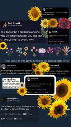 the sunflowers are all over the webpage, and there is no image to describe