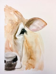 a watercolor painting of a cow's face and nose, on a white background