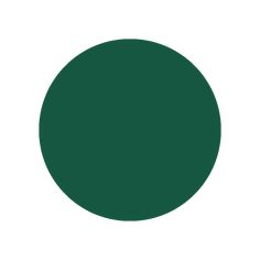 a green circle on a white background