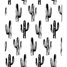 black and white hand drawn cactus pattern on a white background, seamless fabric or wallpaper