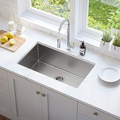 a stainless steel kitchen sink in front of a window with plants on the countertop