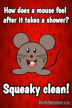 a cartoon mouse with the caption how does a mouse feel after it takes a shower?