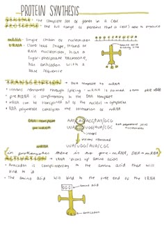 Biology Proteins Notes, Study Notes Biology, Ap Biology Notes, Medical Terminology Study