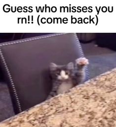 a cat sitting on top of a black chair next to a table with the caption guess who misses you n come back