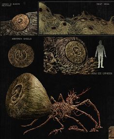 an image of some weird things in the dark