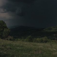 a horse standing on top of a lush green hillside under a dark sky with storm clouds