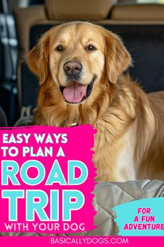 a dog sitting in the back seat of a car next to a sign that says easy ways to plan a road trip with your dog