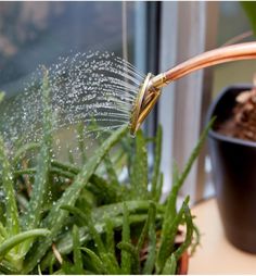 a sprinkler watering water from a potted plant