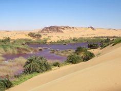 the desert is filled with water and palm trees in the foreground, surrounded by sand dunes