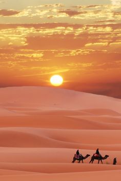 three people riding camels in the desert at sunset