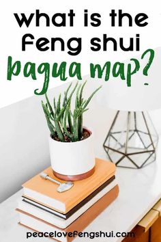 a potted plant sitting on top of books with the words what is the feng shu bagua map?