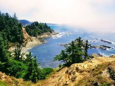 an ocean view from the top of a hill with pine trees on both sides and blue water in the middle