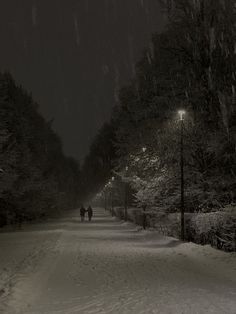 two people walking down a snow covered road at night with street lights and trees in the background