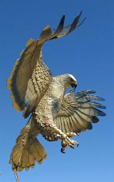 an eagle is flying in the air with its wings spread out and it's talon extended