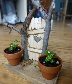 two potted plants sitting on top of a wooden table next to a small house