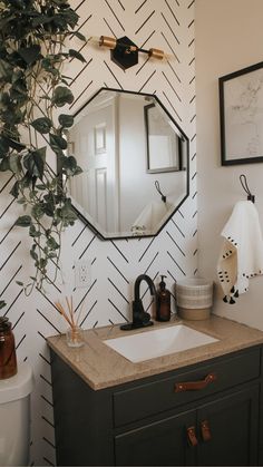 a bathroom sink with a mirror above it and a potted plant in the corner