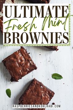 chocolate brownies with mint leaves on top and the title overlay reads ultimate fresh thin brownies