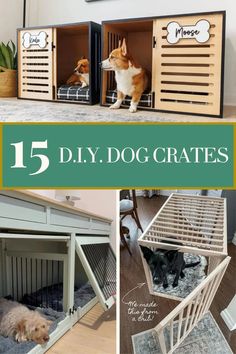 diy dog crates with dogs inside and outside