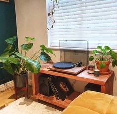 a living room with plants and a laptop on a small wooden table in front of the window