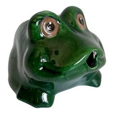 a green frog with two brown eyes on it's head