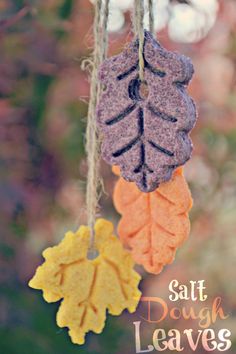 three leaf shaped ornaments hanging from a string with the words salt dough leaves on it