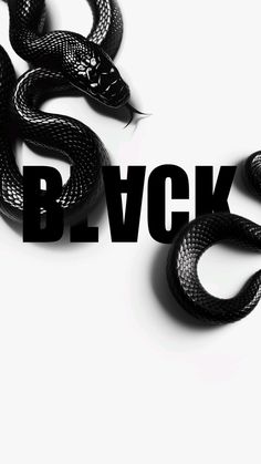 a black snake with the words b vck on it