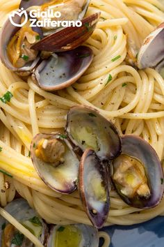 pasta with clams and parmesan cheese on a blue plate, ready to be eaten