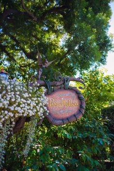 a sign hanging from the side of a tree with white flowers in front of it