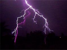 a lightning bolt is seen in the dark night sky above some trees and bushes with purple lighting