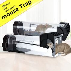 a mouse trap with two mice in it