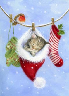 a christmas card with a kitten sleeping in a stocking