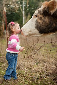 Cow Kiss Cow Quotes, A Cow, Beautiful Creatures, Animal Kingdom, Animals For Kids, Animals Beautiful, Farm Animals