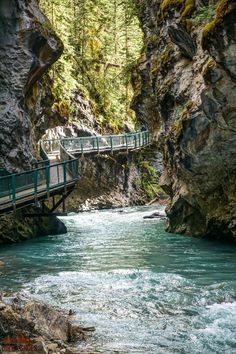 a bridge over a river in the middle of a forest